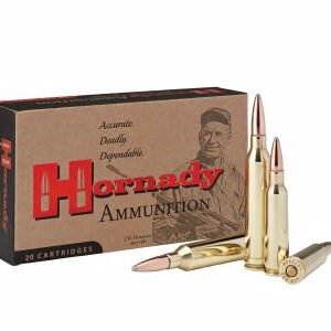 250-3000 Savage - Remington CoreLokt PSP