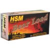 38-40 Win - HSM Ammo RNFP
