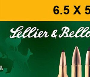 HORNADY LEVEREVOLUTION 25-35-WIN 110GR FTX 20RD 10BX/CS