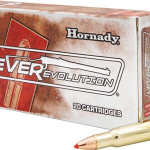 HORNADY LEVEREVOLUTION 348WIN-200GR FTX 20RD 10BX/CS