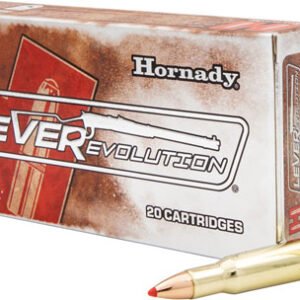 HORNADY LEVEREVOLUTION 348WIN-200GR FTX 20RD 10BX/CS