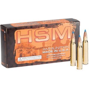 Nosler Varmageddon Rifle Ammunition 17 Rem. Fireball 20 Gr. VG FBT 20 Rd.