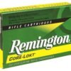 REMINGTON PREM 300REM SA UM-165GR PSP CORELKT 20RD 10BX/CS